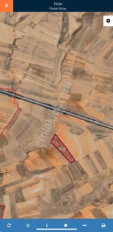 Sivrihisar Kaymazda 41 Dönüm Satılık Tarla