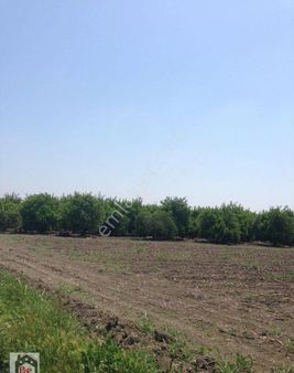 Beste'den Mıdık Mah. T. Orhan Cad. Üzeri 10600 M2 Satılık Tarla