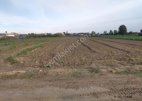 Beste'den Akkapı Mah. 11300 M2 Tek Tapu Satılık Arsalık Tarla