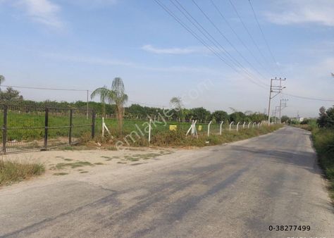 Beste'den Mıdık Mah. T. Orhan Cad. Üzeri 8000 M2 Tek Tapu Satılık Tarla