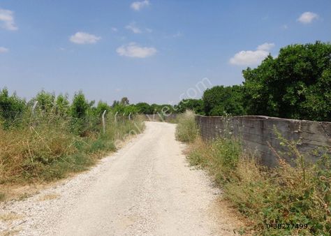 Beste'den Hadırlı Mah. Merkeze Yakın Tek Tapu 21500 M2 Satılık Bahçe