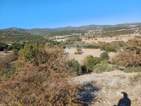 Muğla Akkaya Mah. Satılık 18000 M2 Tarla