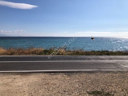 Şarköy De Işık Emlaktan Hoşköy Mah De 3800 M2 0/20 İmarlı Arsa