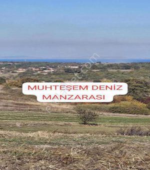 Biga / Hacıpehlivan Köyünde 5.741 M² Benzersiz Arazi