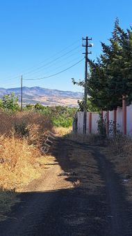 Hanedan Emlak'tan Yaycı'da Satılık Bagevlik Arazi