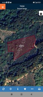 Düzce Merkez Kabalak Mahallesi Satılık Fındıklık