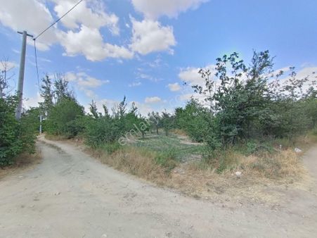 Abit Gm 3 Kata İmarlı Köşe Parsel Arsa Doğrugözde