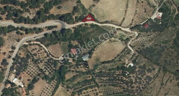 Goldhouse Dan Satılık Tarla