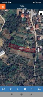 Düzce Merkez Satılık Fındık Bahçesi Ve Ev Uzunlar Emlak'tan