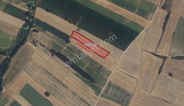 Acil Satılık 269 M2 Kırklareli Babaeski Otoyol Yanında Tarla