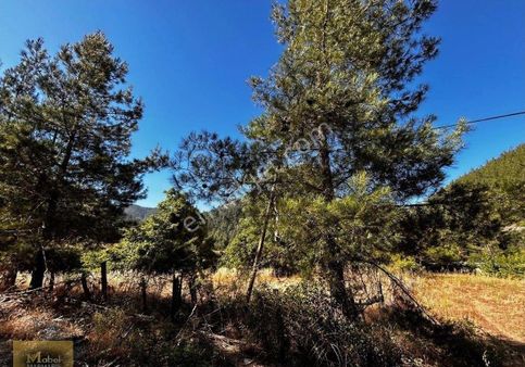 Mabel'den Fırsat Daha Ucuzu Yok! Menteşe'de Satılık Bonuslu Tarla