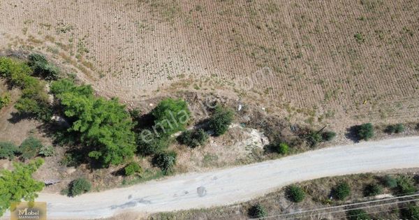 Mabel'den Muğla Gazeller'de Satılık Müstakil Tapu Tarla