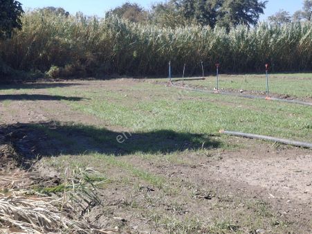 Sultanhisar Eskihisar Satilik Bahçe