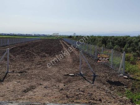 Büyük Dikili Mahallesinde 2310 Metrekare Asfalt Yol Kenarı