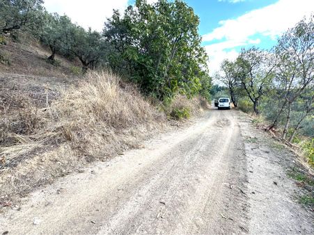 Tırpan Gayrimenkulden Mirzaobada 395m2 Yola Cephe Köye Yakın Zeytinlik