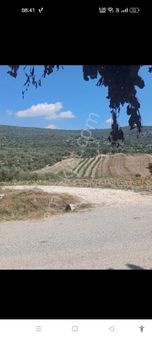 Sıraköy De Tek Tapulu 3719 M2 Satılık Tarla