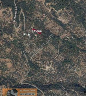 İzmir Bayındır Kızıloba Mahallesi'nde Satılık Zeytinlik