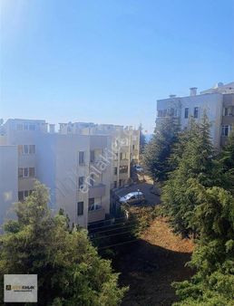 Yalova Armutlu'da Denize Sıfır Havuzlu Sitede Satılık Daire