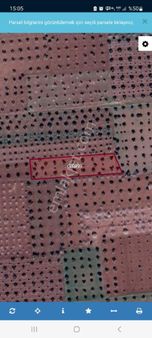 Kiliste Satilik Zeytinlik