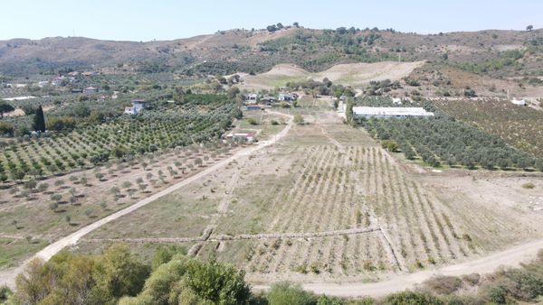 Seferihisar Kavakderede Satılık 243 M2 Tapulu Yatırımlık Bahçeler