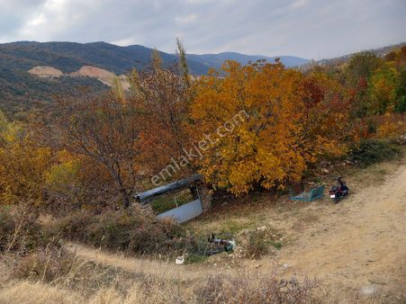 Cetın Emlaktan Satılık Engıllıde Meyve Bahcesı