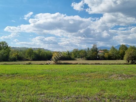 Tosya Emlak - Çatak'ta 4 Dönüm Bağ