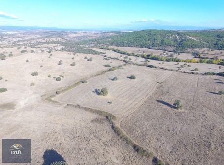Geyikli Ezine Arasında Satılık Tarla (hisaralan Köyü)