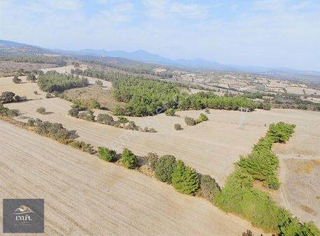 Bayramiç Hacıköyde Kazdağları Manzaralı Satılık Tarla