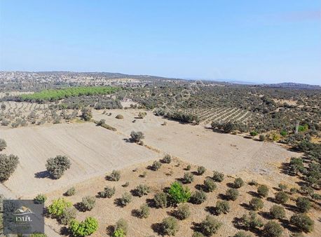 Gökçebayır Köyü Satılık Tarla (köy Merkezine Çok Yakın)