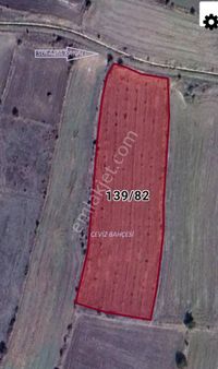 Bilecik Bozüyük Karaağaç Köyünde Satılık Ceviz Bahçesi