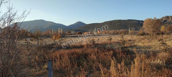 Burdur Ağlasun Hisarköy'de Köye Yakın Kadastro Yolu Olan Satılık Arazi