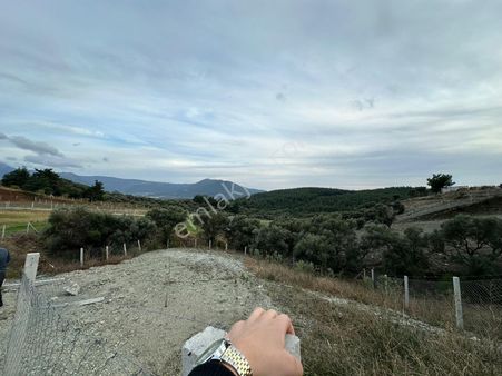 İndi!!! Kemalpaşa Vişneli 607 Metrekare Hisse Tapulu Mahkeme Kararı