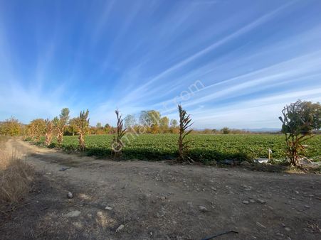 Çanakkale Kalkımda Tarıma Hazır,yatırım Potansiyeli Yüksek Tarla