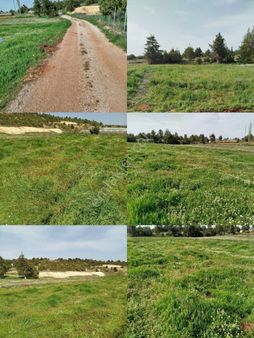 Demir Gayrimenkul Mersin Erdemli Sarıkaya Mahalle Yatırım Lık Villa Daire Bungalov Yapımına Uygun