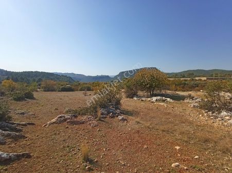 Kocaoğlu'dan Kuzucu'da Uygun Fiyat Yatırımlık Satılık Tarla