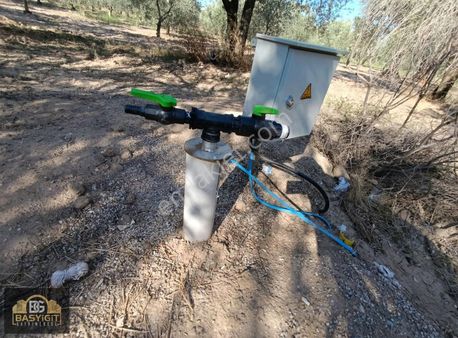 Efendi Mh.elektrik,su Ve Resmi Yolu Olan Satılık 3 Dönüm Zeytinl