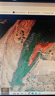 Old City'den Camikebirde3.678m2 65ad.zeytin Ağaçlı Vesuyu Mevcut