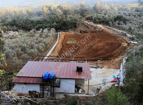 Marmaris'e Yakın, Ula Kızılağaç Mevkiinde 2.776 M² Satılık Tarla