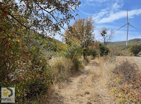 Bergama Bozyerler Satılık Tek Tapu 2903m2 Tarla