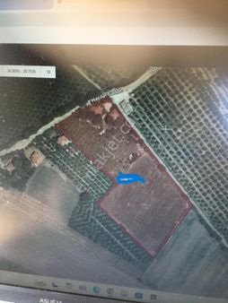 Muğla Ortacada Satılık Dönümü 1.600,000 Tlden 16.825 M2 Tarla