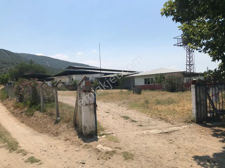 Egelimden Dualar Pirlibey Arası Satılık 20 Dönüm Çiftlik