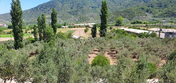 Erdek Turhanlarda Acil Satılık Arsa