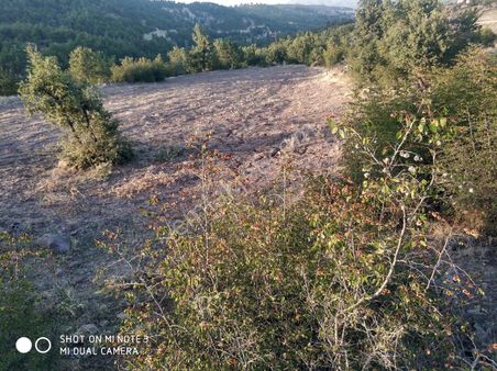 Selendi Havaoğlu Mahallesi'nde Satılık Tarla Ve Bahçeler