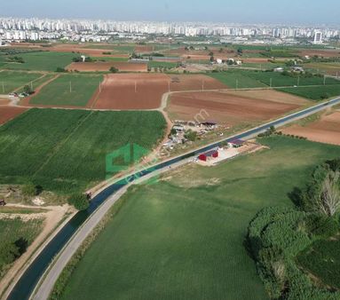 Reale Ve Otobana Yakın İmar Sınırında Fırsat Kupon Arsa