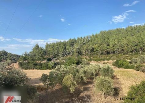 Milas Kuzyaka Mah. Yola Sıfır Satılık Tarla