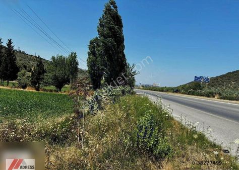 Milas-bodrum Anayoluna Sıfır Satılık Tarla