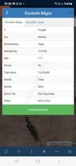 Net Group Yozgat Tayıp Köyü Satılık Tarla