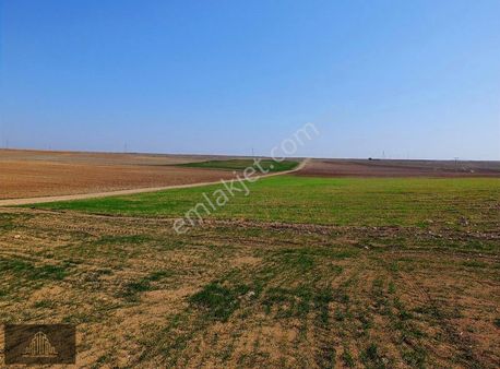 Tezcan'dan Kadınhanı Kolukısa'da 94.000 M2 Tek Parça Arazi