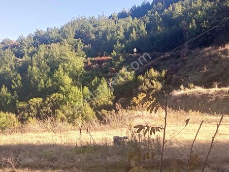 Egelimden Bozdoğan Altıntaş Mevki 2914 M2 Satılık Bahçe