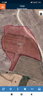 Niğde Güllüce De Satılık Tarla